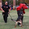 Officer Eric Trevino and Rocket show off at annual National Night Out held Tuesday, Oct. 27 at Veterans Park.